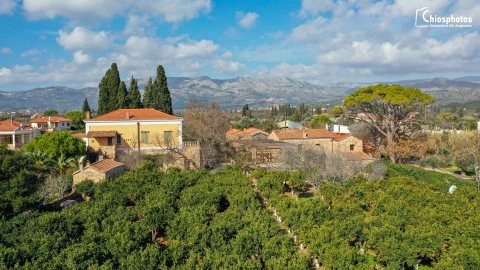 Κάμπος Χίου