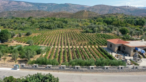 Κτήμα Κεφάλα Βολισσός