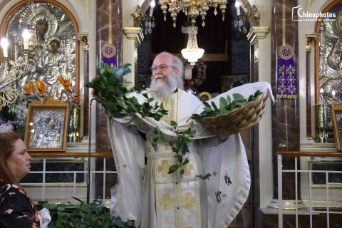 Ευαγγελίστρια Χίος